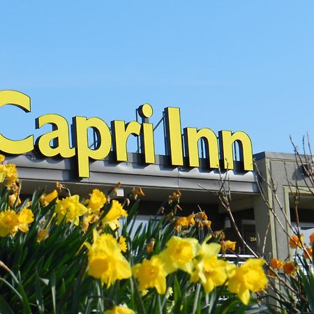 Capri Inn Saint Catharines ภายนอก รูปภาพ