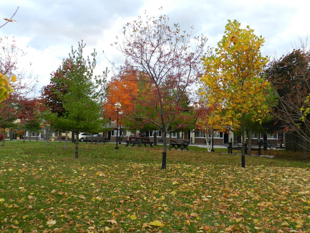 Capri Inn Saint Catharines ภายนอก รูปภาพ