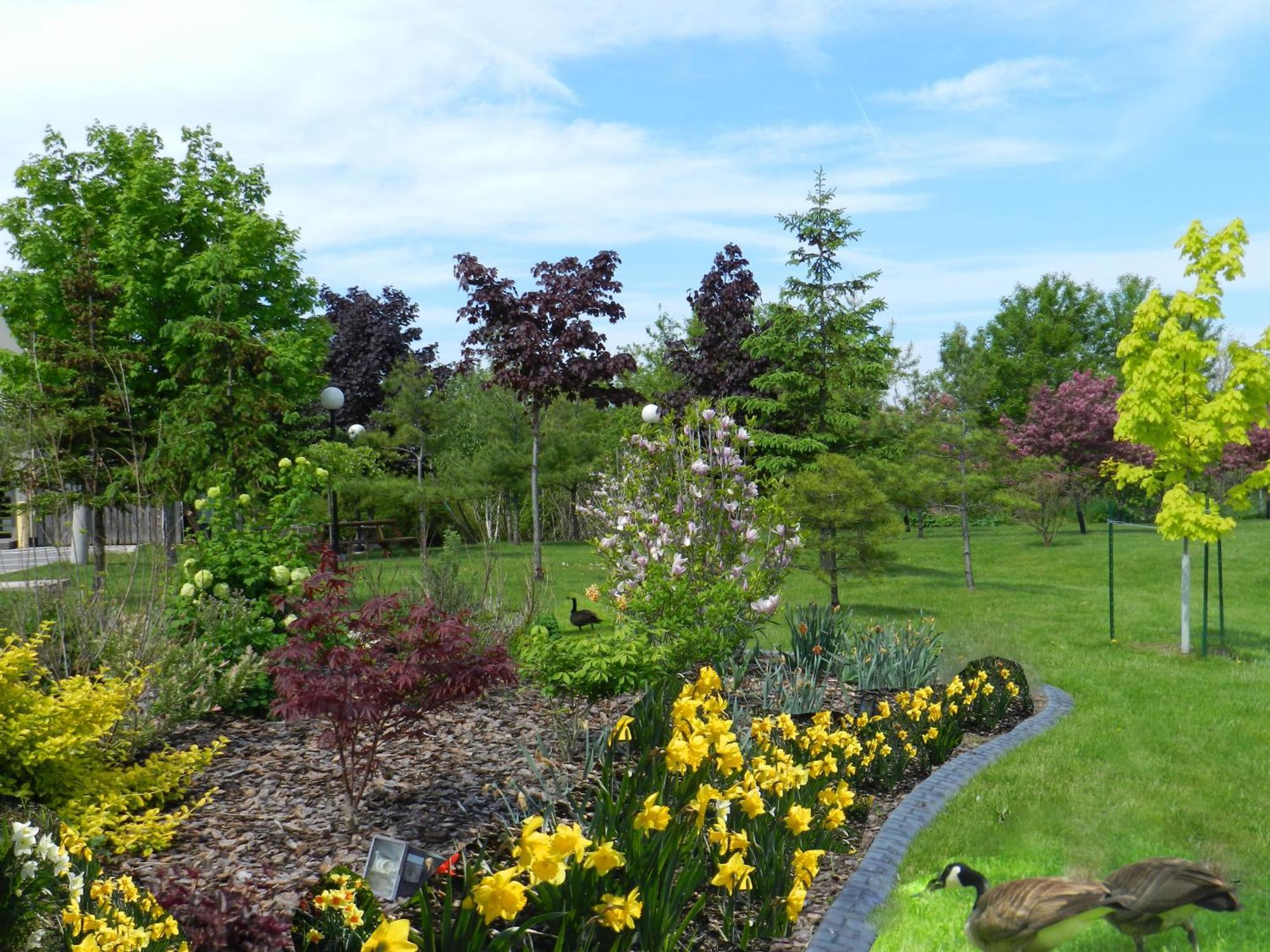 Capri Inn Saint Catharines ภายนอก รูปภาพ
