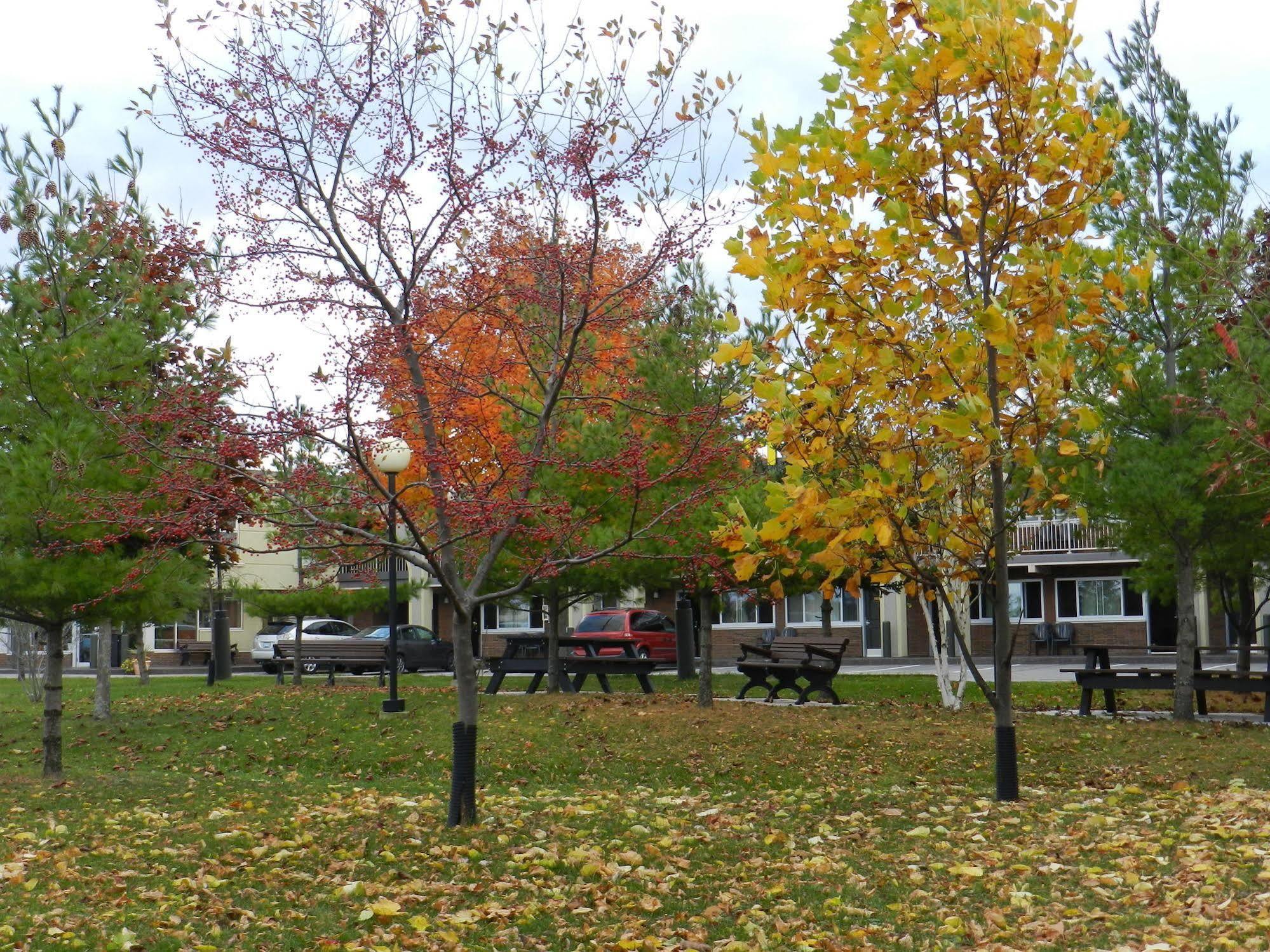 Capri Inn Saint Catharines ภายนอก รูปภาพ