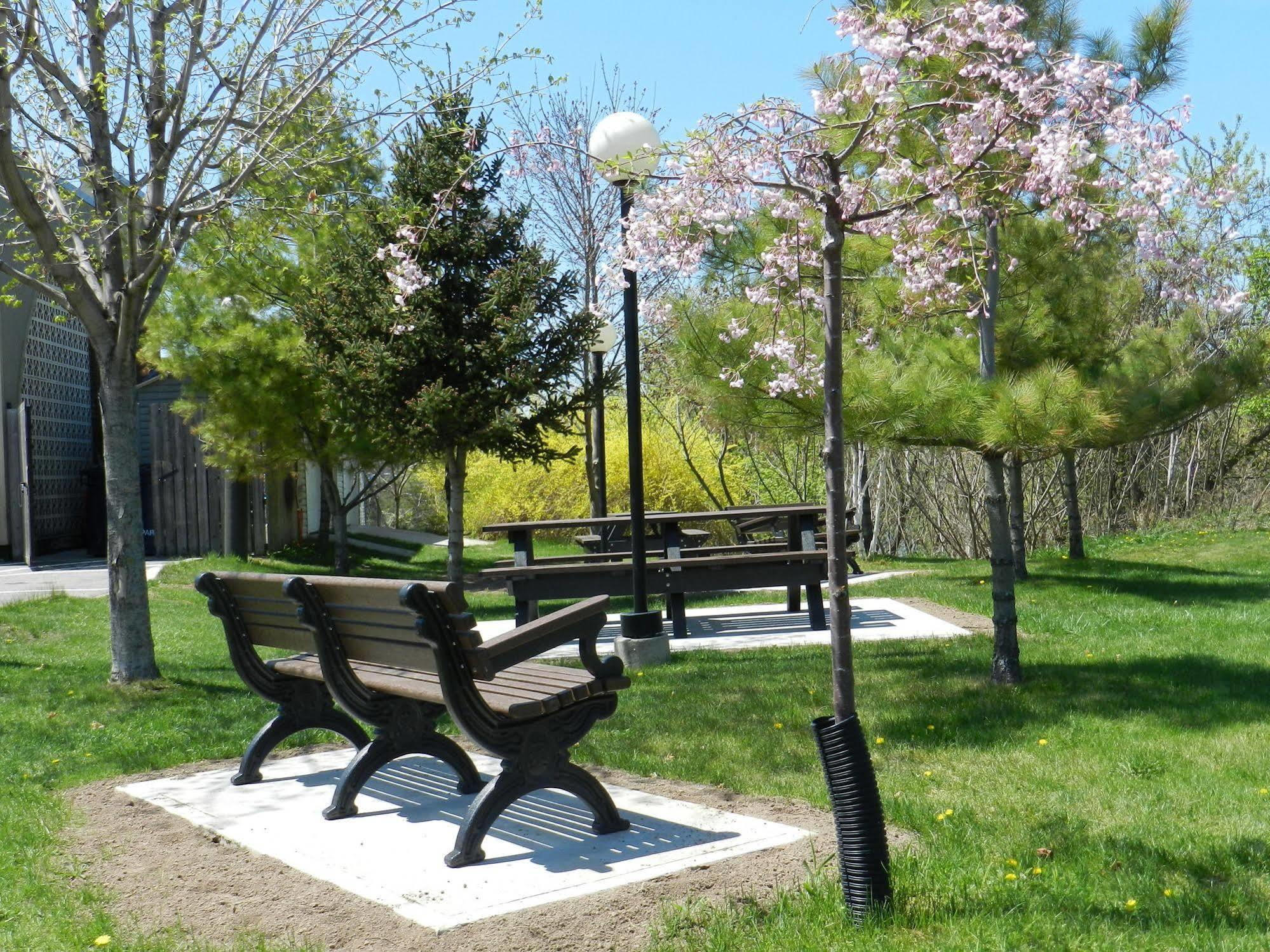 Capri Inn Saint Catharines ภายนอก รูปภาพ