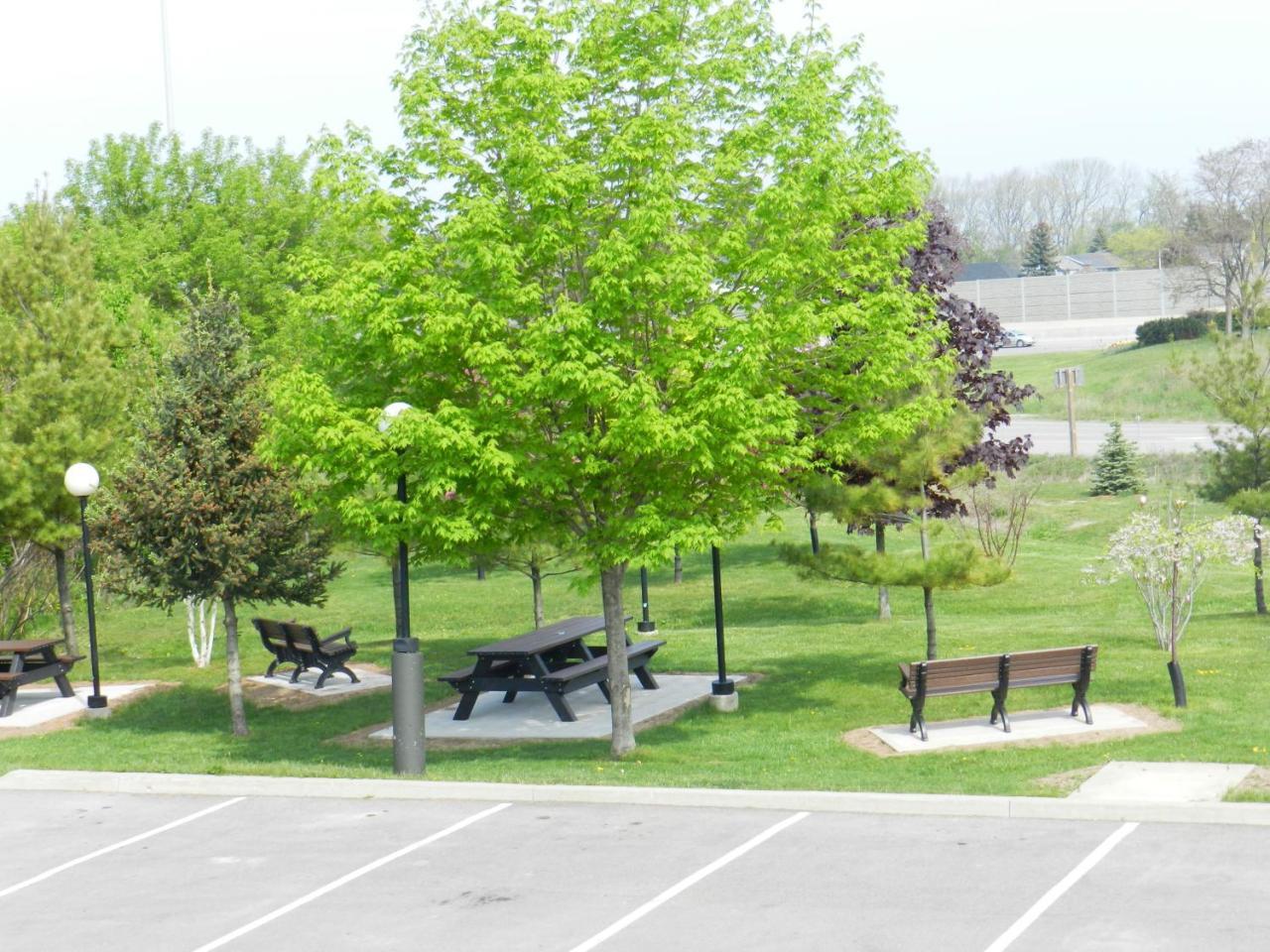 Capri Inn Saint Catharines ภายนอก รูปภาพ