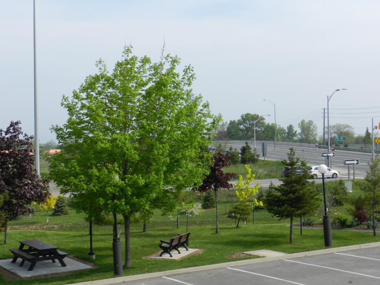 Capri Inn Saint Catharines ภายนอก รูปภาพ